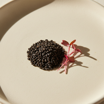 Amaranth Red Army Microgreens