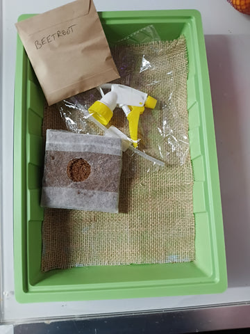 Large Microgreens Growing Kit – Grow Fresh Greens at Home